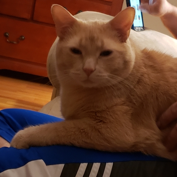 Meet your Posher, Brandi - Picture 8 of 9